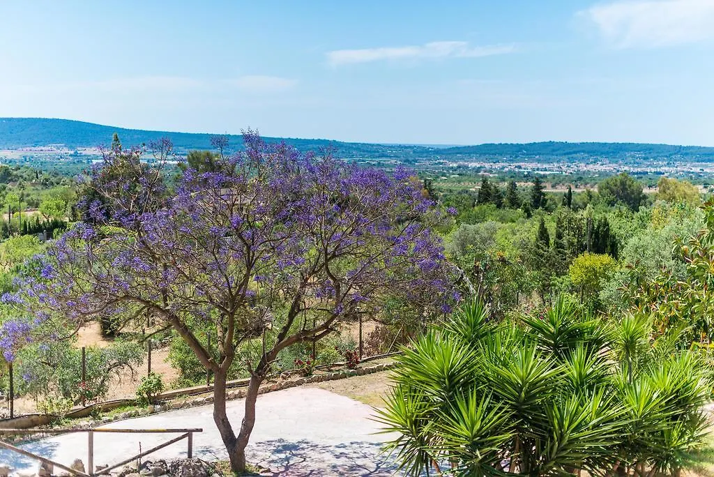 Es Pinar Villa Alaró 0*,  İspanya
